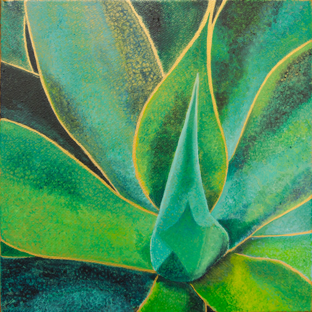 12X12Agave
