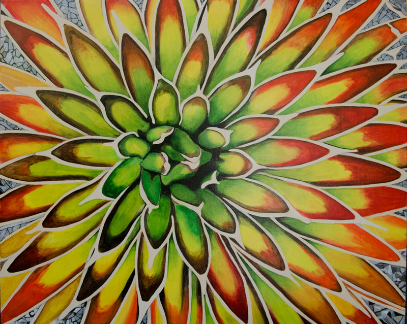 20X24MescalAgave